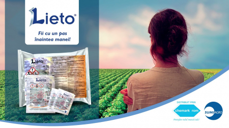 Lieto [1]