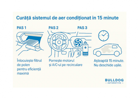 Spray curatare AC BMW 100ml, eliminare mirosuri, igienizare rapida, pentru interior auto [2]