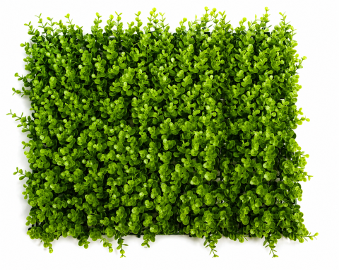Gradină si Bricolaj - PANOU PERETE VERDE ARTIFICIAL 60X40 CM, DECOR GRĂDINĂ VERTICALĂ, PLANTE ARTIFICIALE REZISTENTE UV