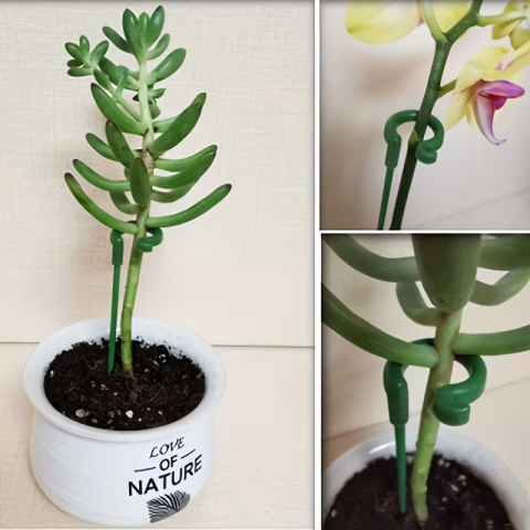 SET 10 SUPORTURI DE ÎNDREPTARE PENTRU PLANTE – CLEME DE FIXARE ȘI DIRIJARE, IDEALE PENTRU PLANTE AGĂȚĂTOARE, FLORI ȘI LEGUME, DESIGN DISCRET ȘI REZISTENT [1]