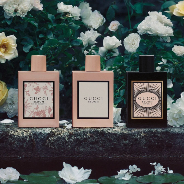 Bloom [4]