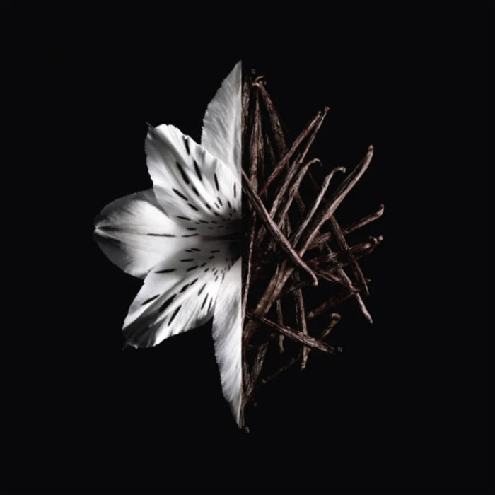 L'Interdit Intense [3]