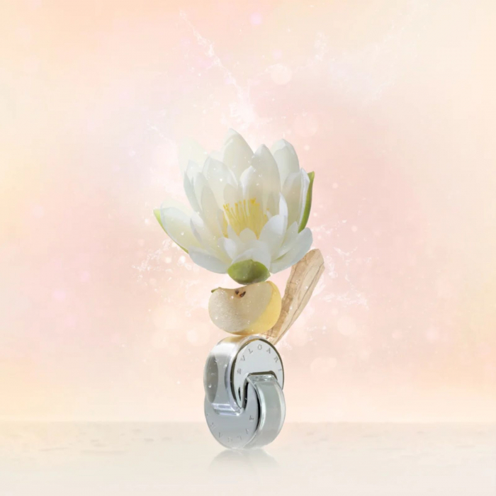 Omnia Crystalline [3]