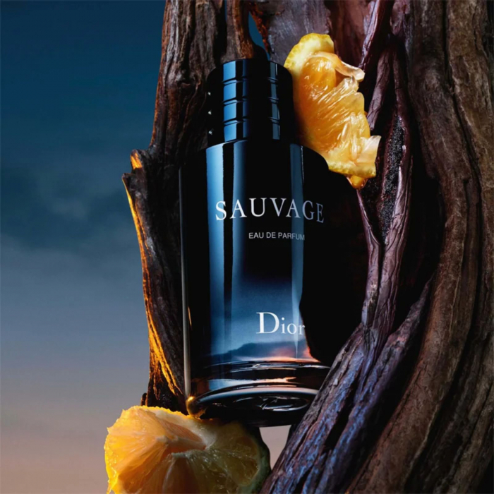 Sauvage [3]