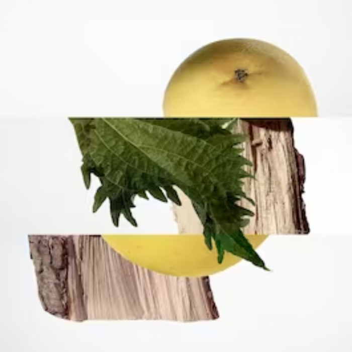 Terre d'Hermes [3]