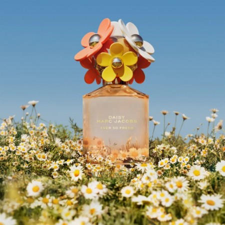 Daisy Ever So Fresh [6]
