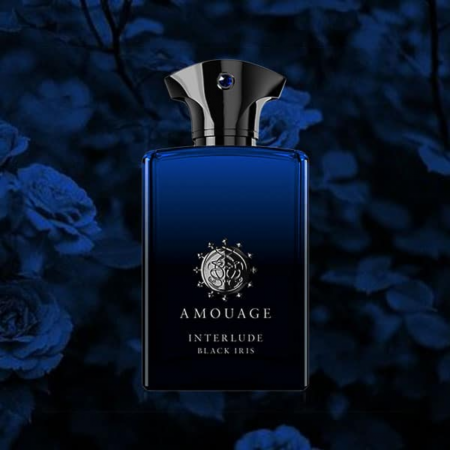 Interlude Black Iris [2]