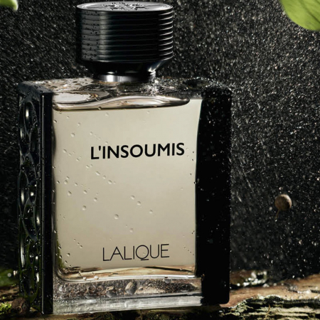 L'Insoumis [2]