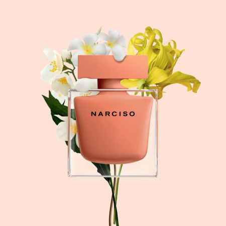 Narciso Ambree [3]