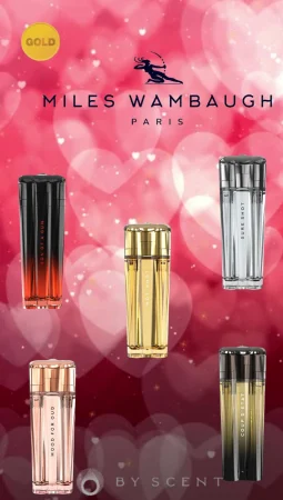Gift Box / Discovery Box GOLD 1 atomizor parfum (PARFUMURI IN EXCLUSIVITATE LA ALEGEREA CLIENTULUI SAU A BY SCENT) [3]