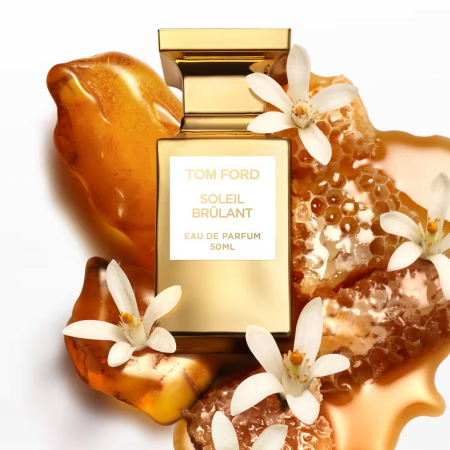 Soleil Brulant [1]