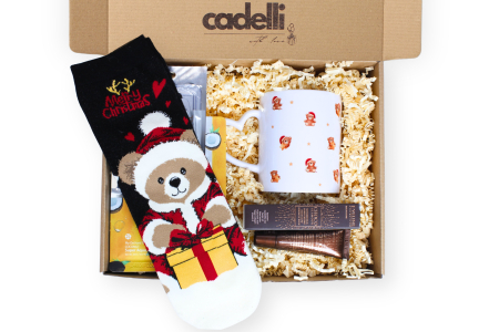TOATE - Christmas Teddy Gift Box