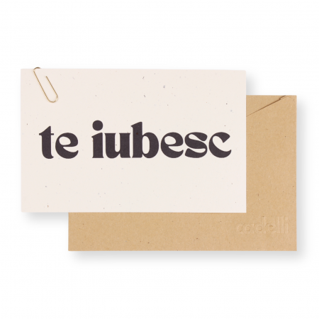 MESAJE PERSONALIZATE - Te iubesc