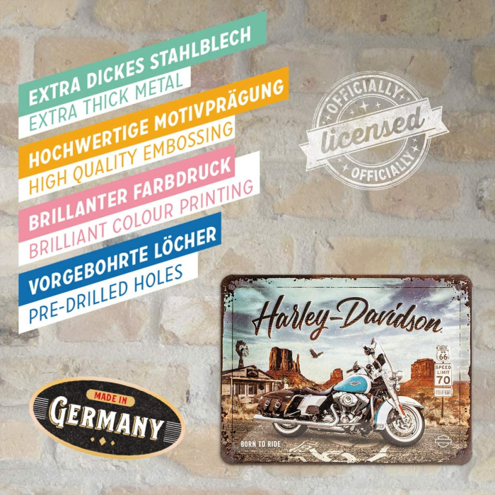 Placa 15x20 Harley-Davidson - Route 66 Road King Clasic [4]