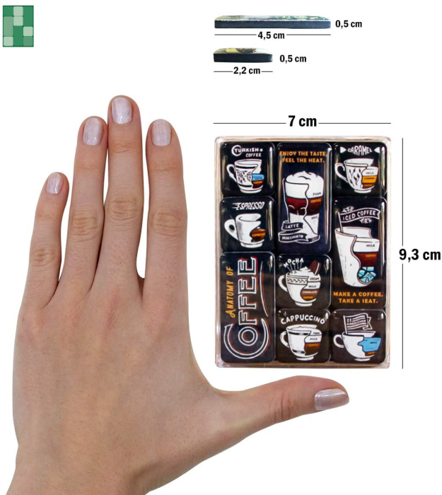 Set de magneti Anatomia cafelei [2]