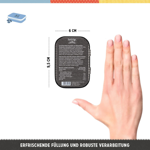 Cutie metalica de buzunar XL BMW Logo [1]