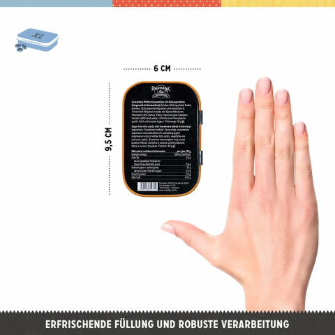 Cutie metalica de buzunar XL Harley-Davidson - Logo [1]