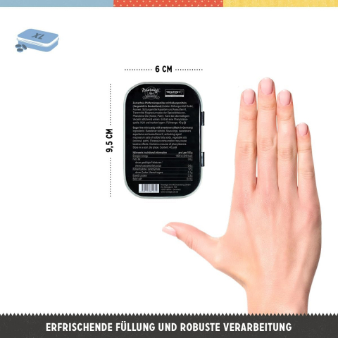 Cutie metalica de buzunar XL Triumph Logo Silver [1]