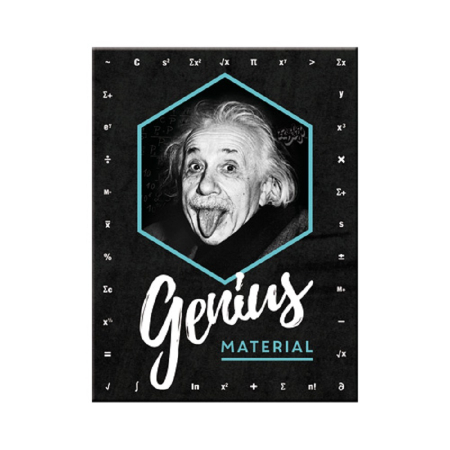 MAGNETI - Magnet 6x8 cm Einstein - Genius - Einstein Geniu
