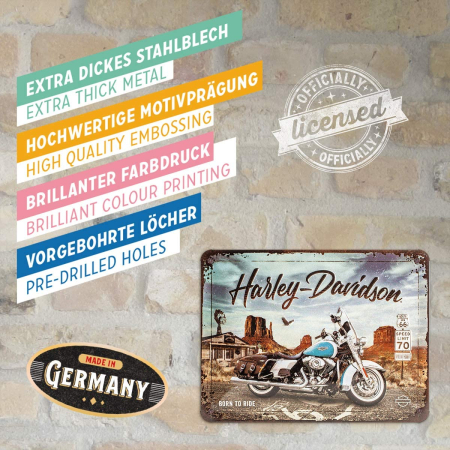 Placa 15x20 Harley-Davidson - Route 66 Road King Clasic [3]