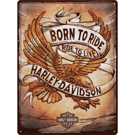 PLACI - Placa 30x40 Harley Davidson - Born to Ride Eagle - Nascut Pentru drum