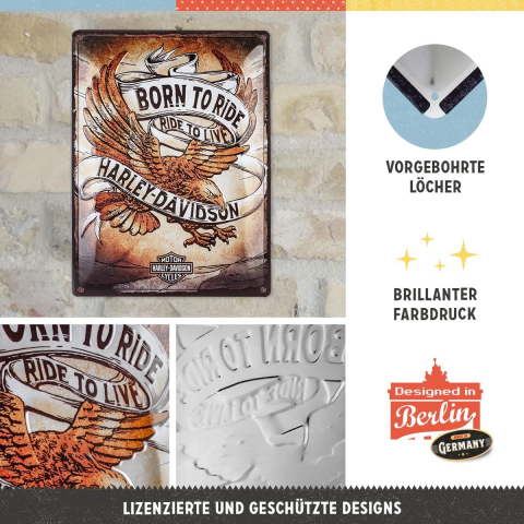 Placa 30x40 Harley Davidson - Born to Ride Eagle - Nascut Pentru drum [2]