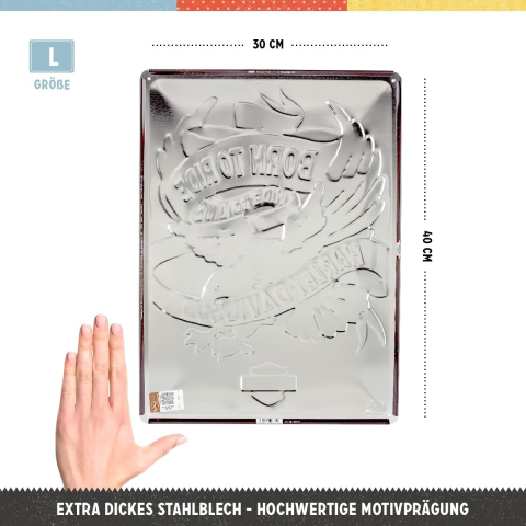 Placa 30x40 Harley Davidson - Born to Ride Eagle - Nascut Pentru drum [1]