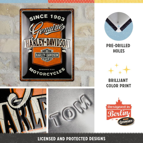 Placa decor 30x40 Harley Davidson Motociclete Autentice [2]