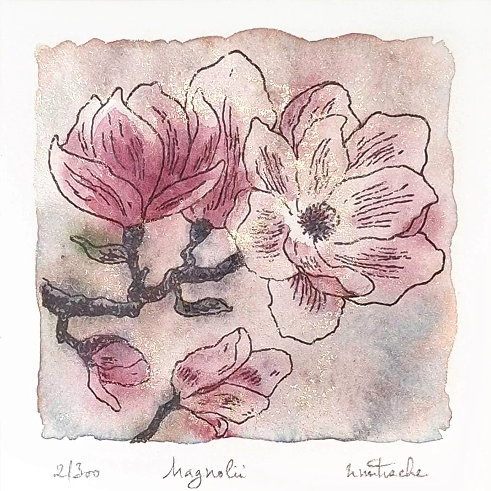 Acuarelă cu Magnolii roz [2]