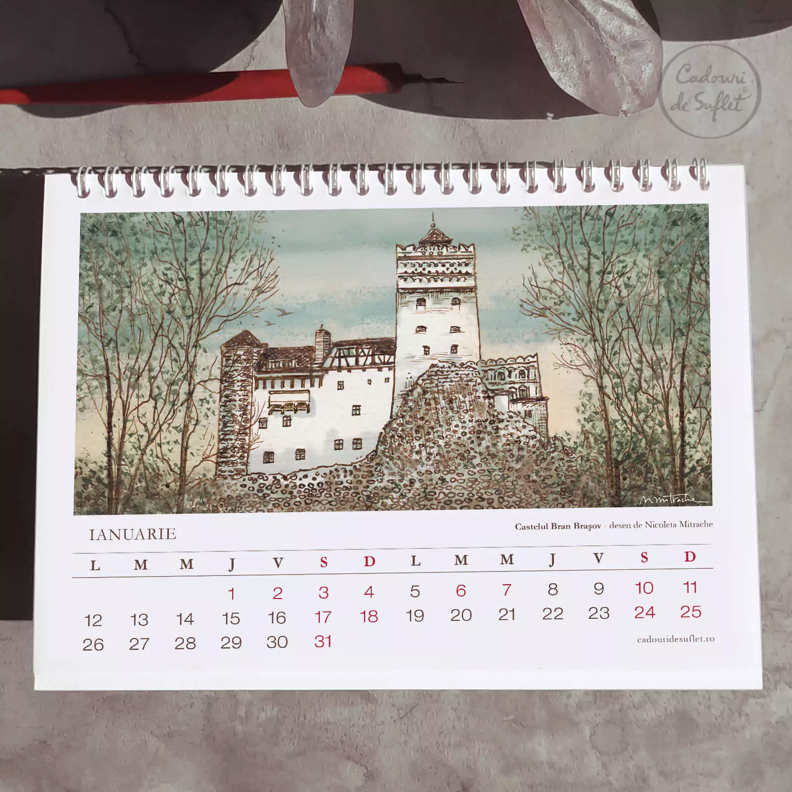 Calendar 2026 - Nicoleta Mitrache [2]
