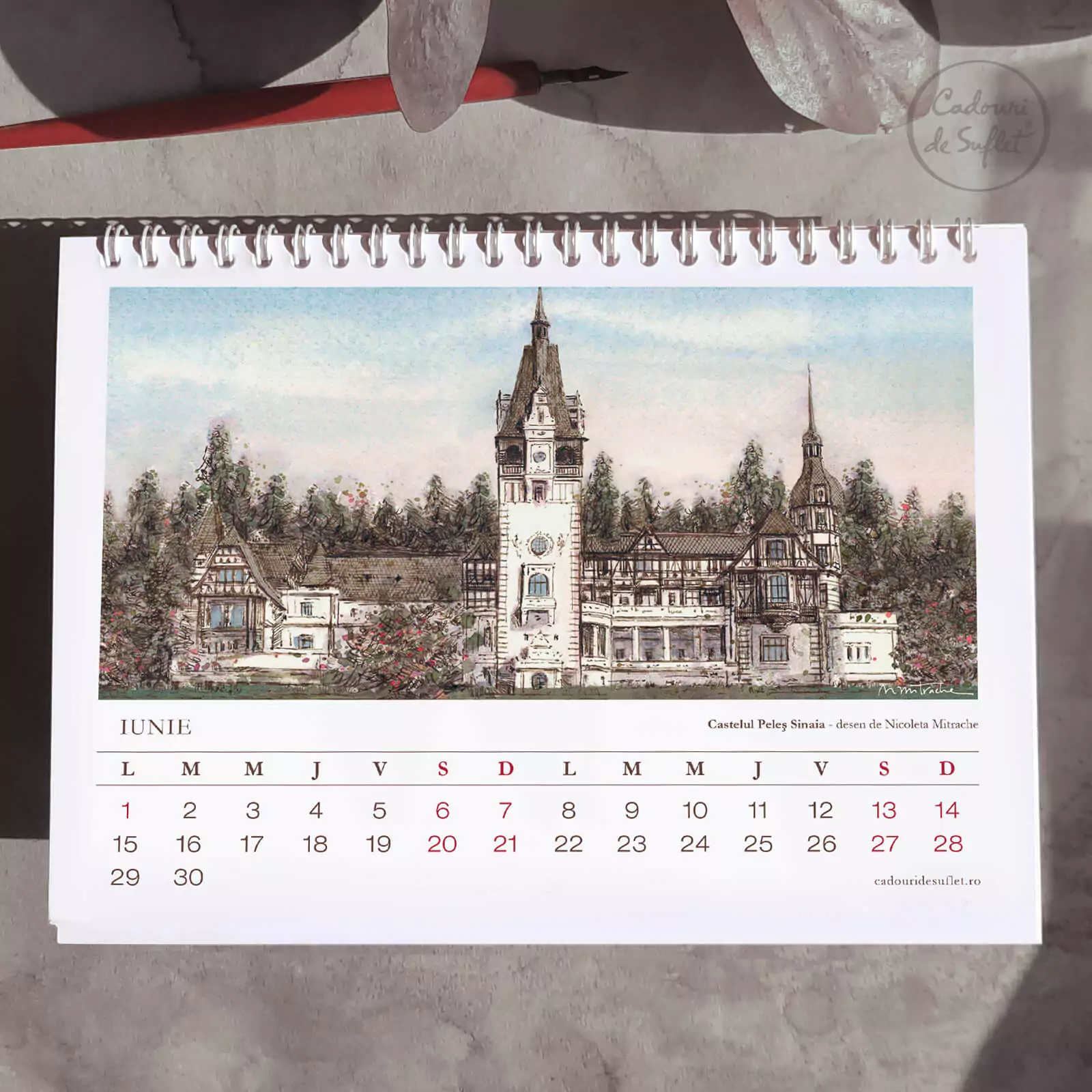 Calendar 2026 - Nicoleta Mitrache [7]