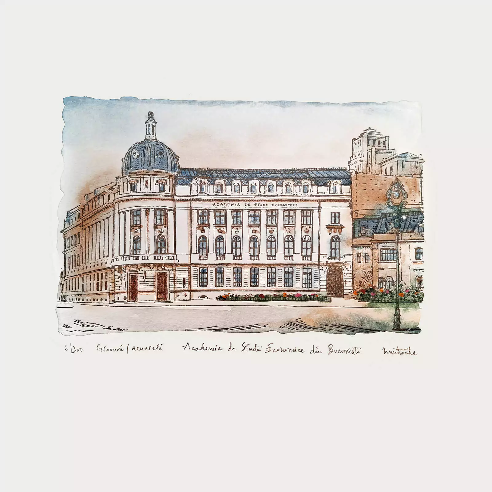 Academia de Studii Economice - gravură [2]