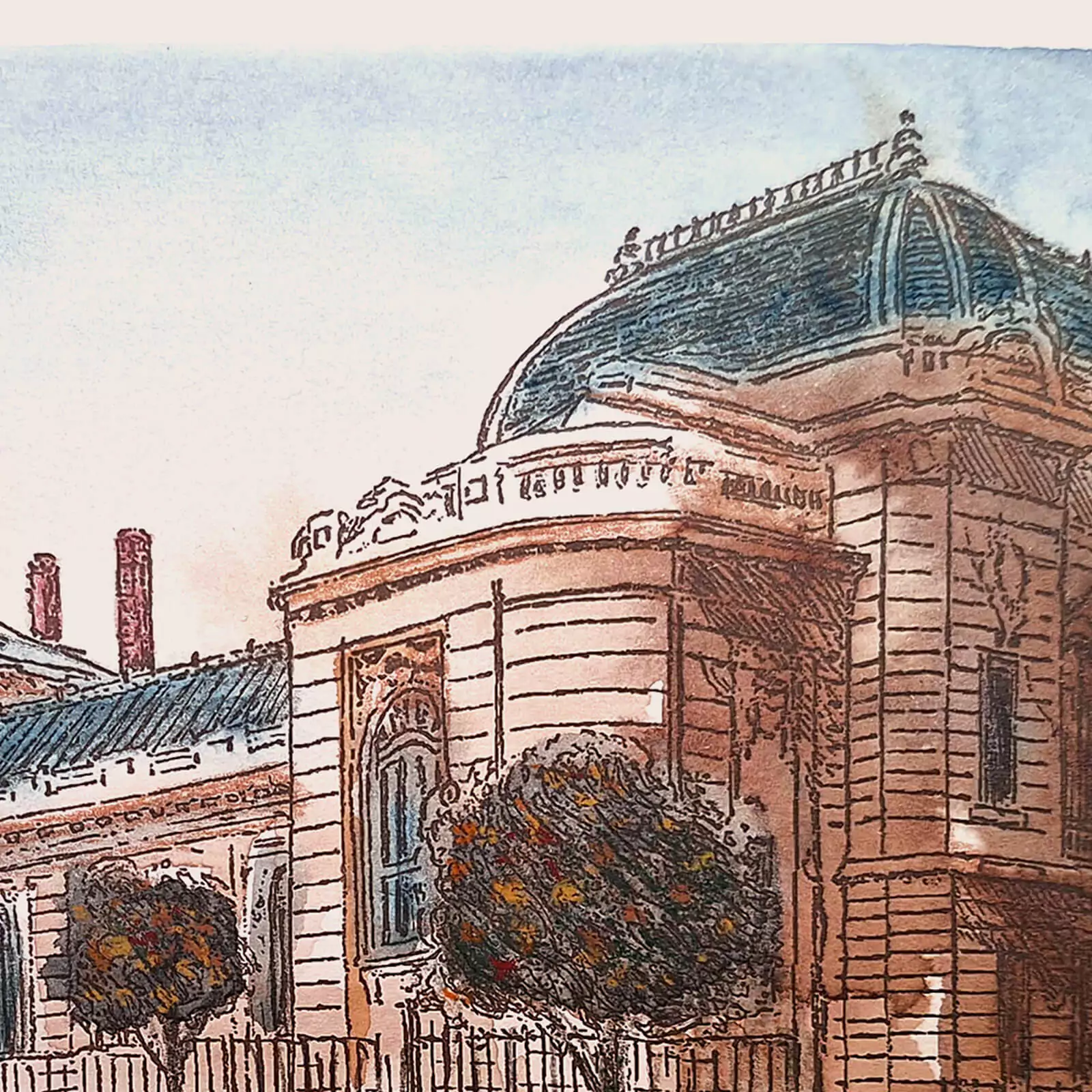 Universitatea de Medicină - gravură [4]