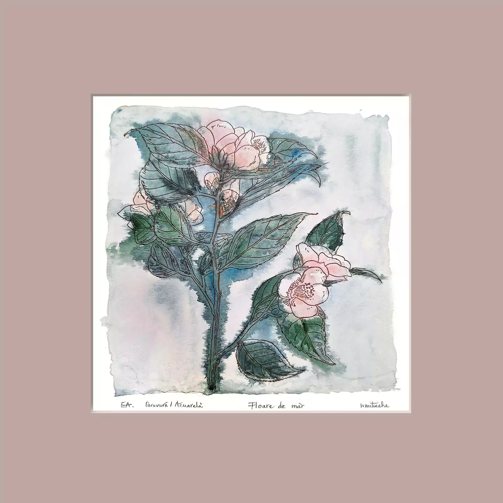 Floare de măr - gravură [3]