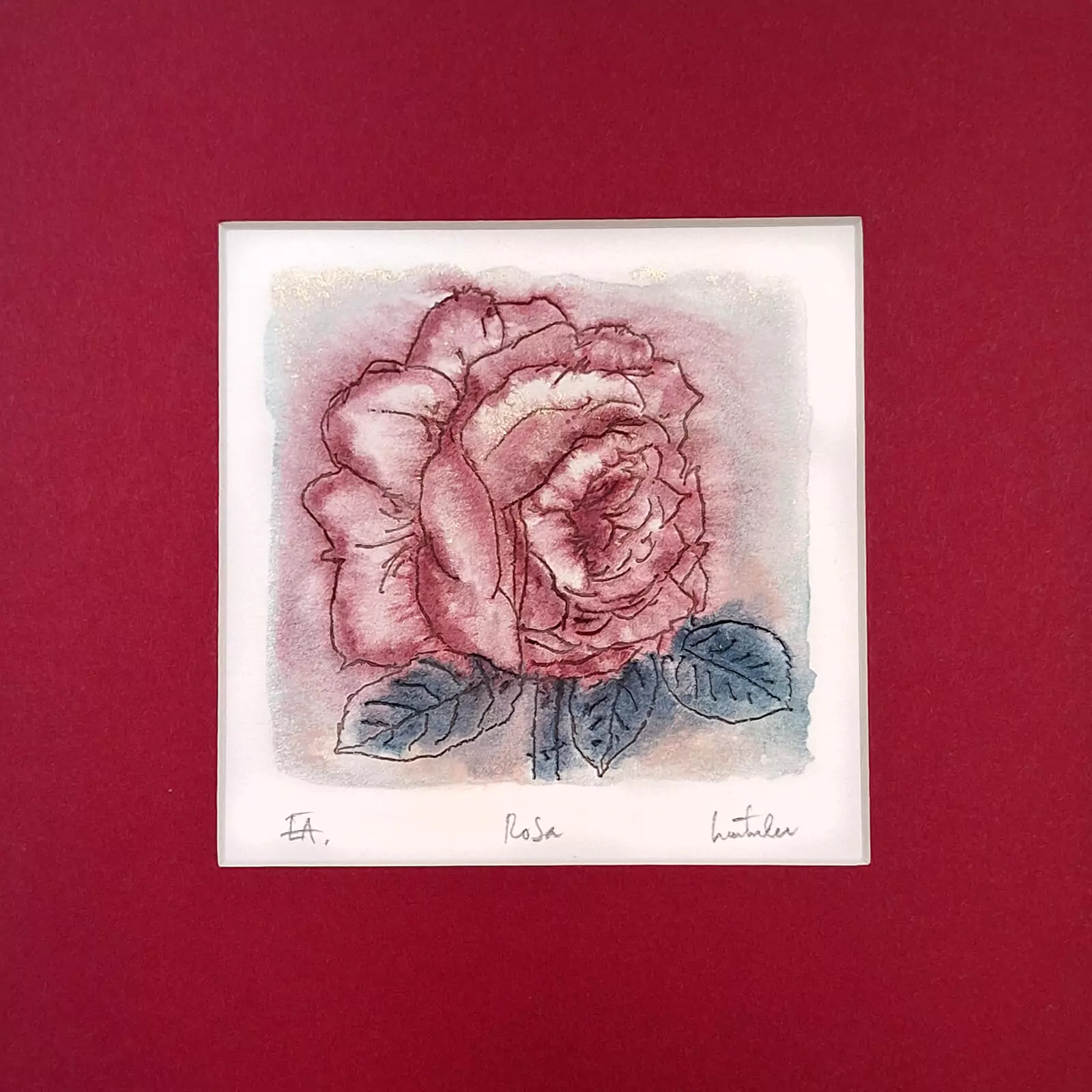 Rosa - gravură [2]