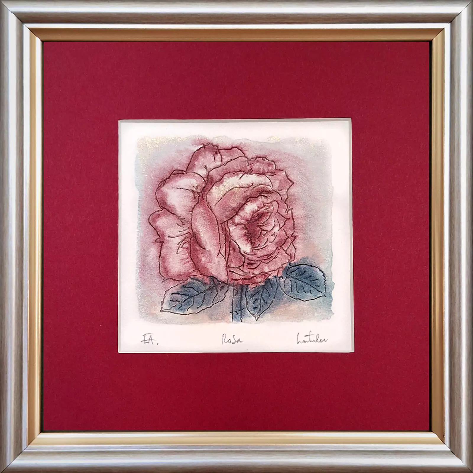 Acuarele cu Flori - Rosa - gravură