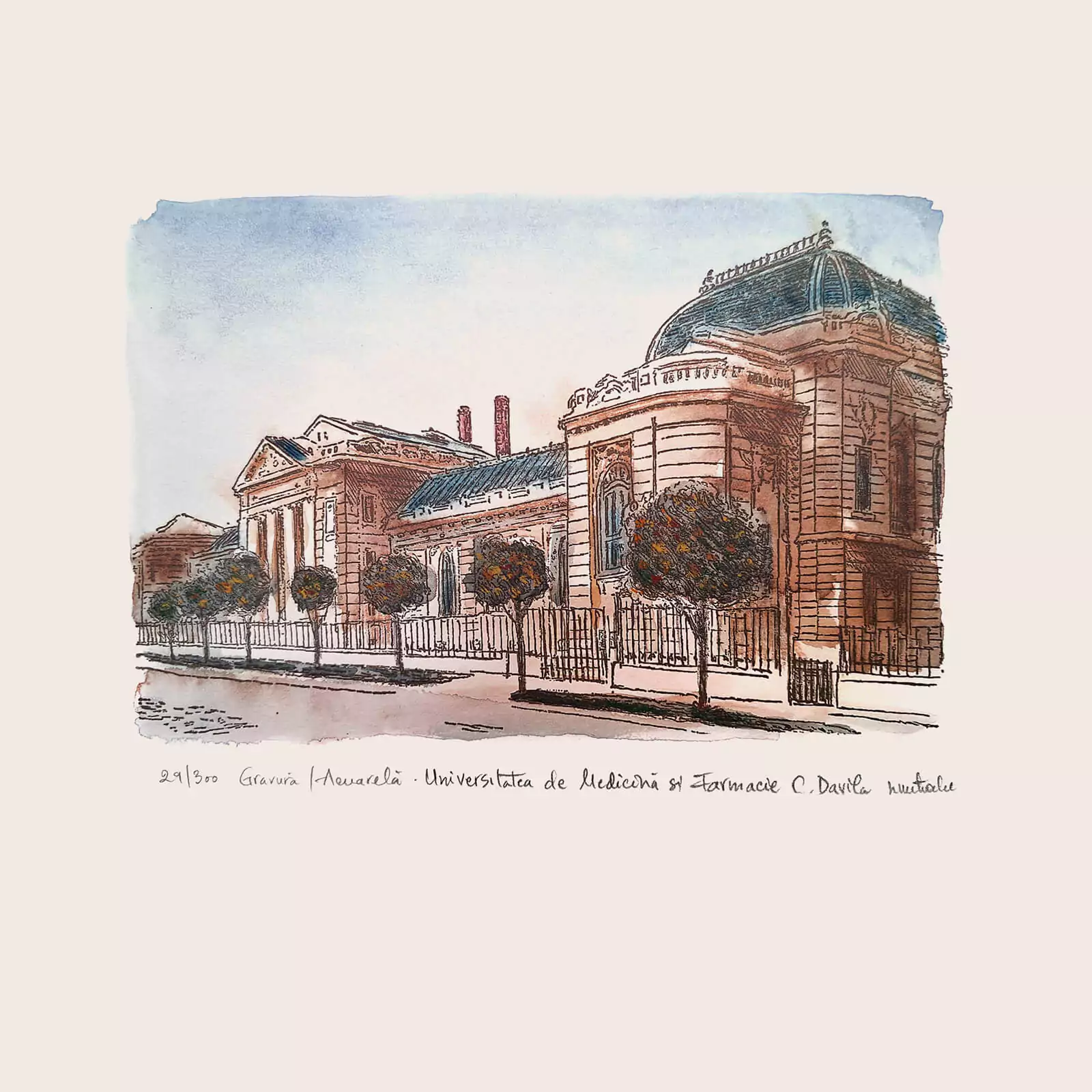 Universitatea de Medicină - gravură [1]