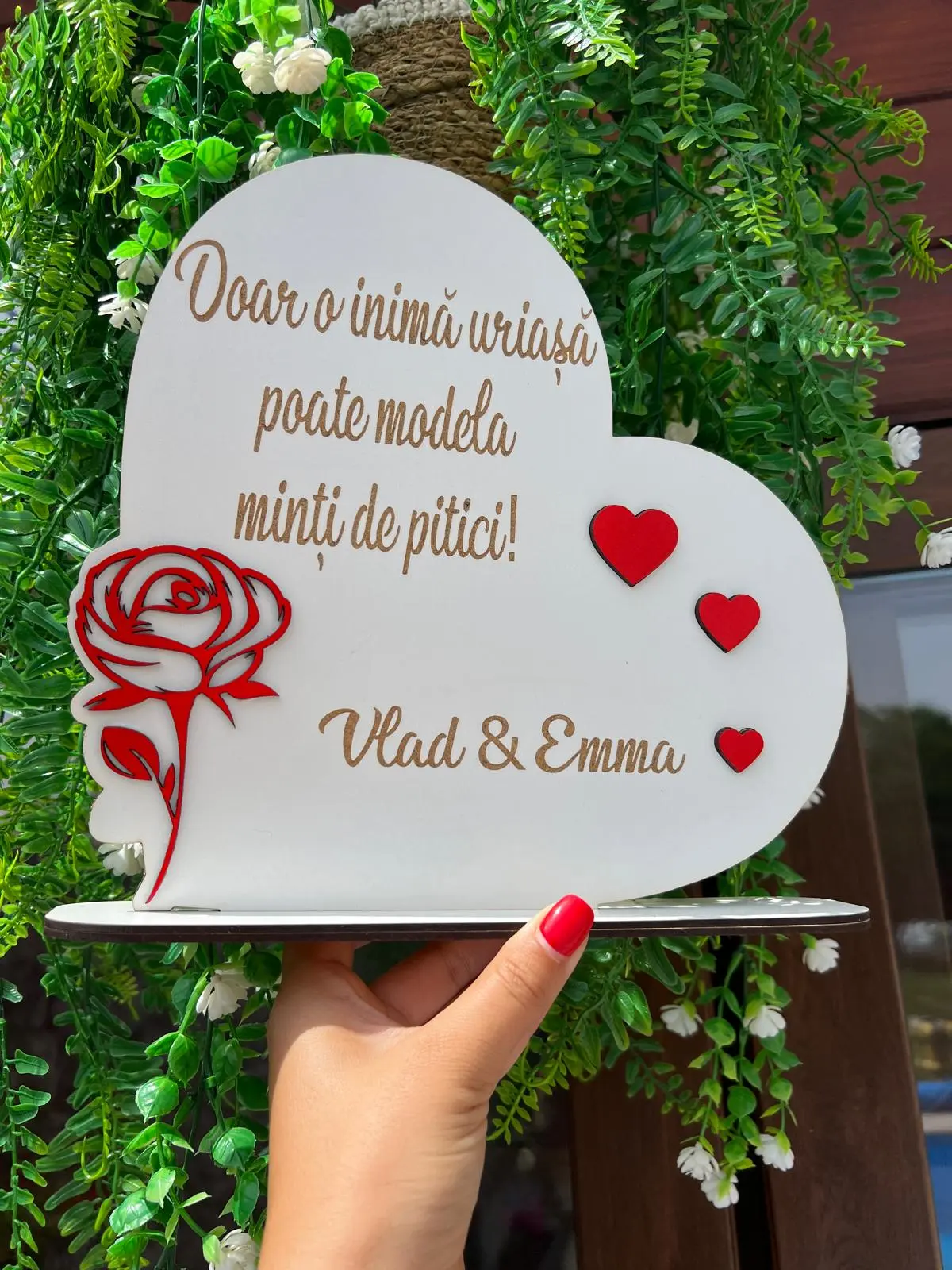 Placheta Cadou  pentru Doamne Educatoare sau Invatatoare [1]