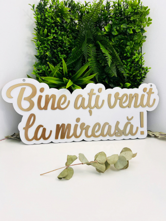 Nunta/Botez - Panou decorativ „Bine ați venit la mireasă, mire sau nași!” – Decor nuntă elegant