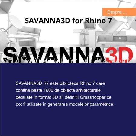 Proiectare Generala - Savanna3D R7