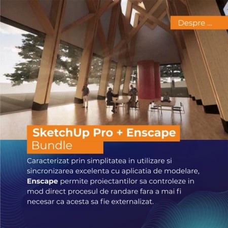 Vizualizare - SketchUp Pro 2026 + Chaos Enscape - Bundle