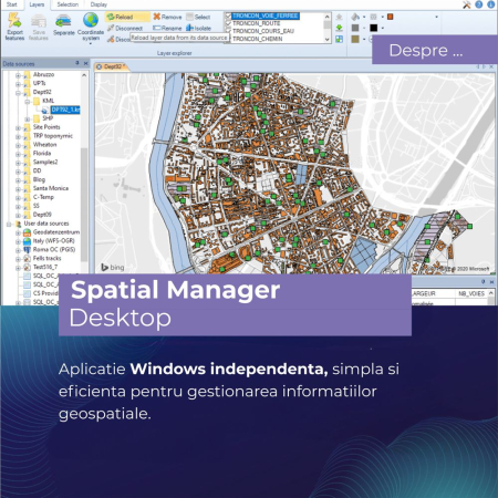 Infrastructura - Spatial Manager Desktop