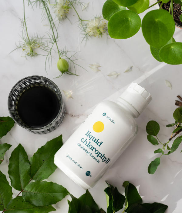Liquid Chlorophyll, CaliVita, 473 ml, chlorofila lichida [3]