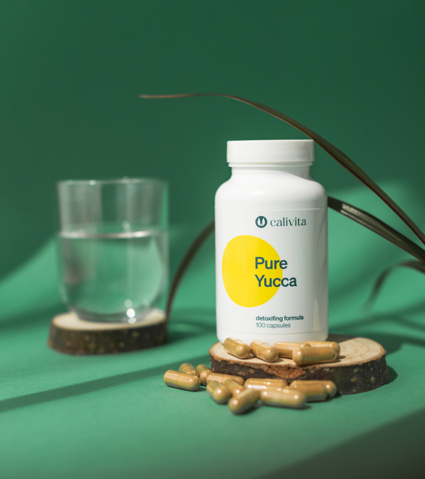 Pure Yucca, CaliVita, 100 capsule, produs naturist cu yucca [3]