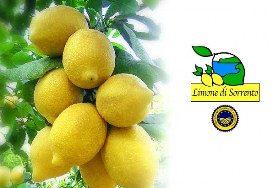 Ulei de măsline extravirgin, aromatizat cu LAMAIE Sorrento IGP [3]