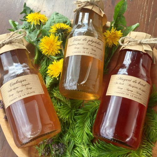 TRIO Sirop plante de la munte 3x300 ml [2]