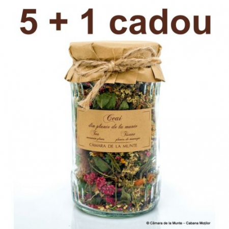Cumpără o cutie 5 + 1 cadou - Ceai din plante de la munte 40 g 5 + 1 cadou