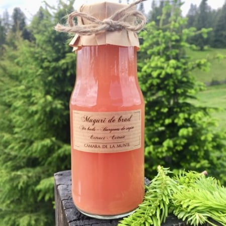 Fără zahăr adăugat - Extract muguri de brad 300 ml