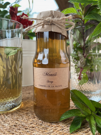 Sirop de casă - Sirop de mentă 300 ml