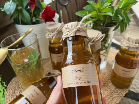 Sirop de mentă 300 ml [1]